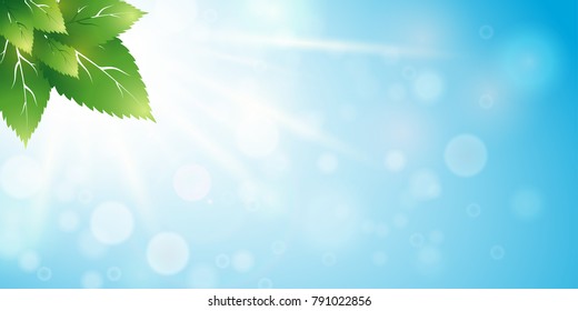 fresh green leaves background. Nature background. Spring. Heaven and gentle foliage in the sun rays. Vector illustration. Eps 10.