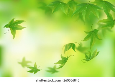 Fresh green leaves background, vector illustration