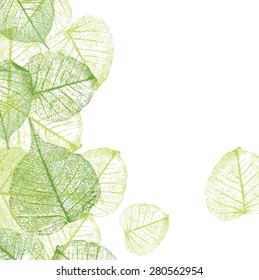 Fresh green leaves background - vector illustration