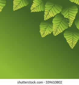 Fresh green leaves background. Vector illustration