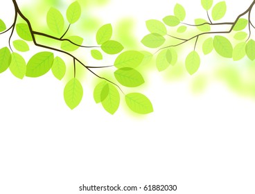 fresh green leaves background - vector.
