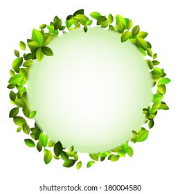 Fresh green leaves border. + EPS10 vector file