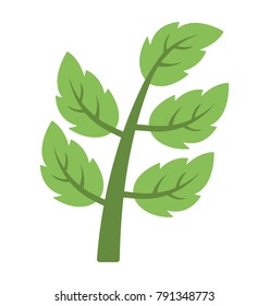 Fresh green leaves branches flat vector icon
