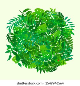 Fresh green leaves circular border frame. Natural botanic round frame.  Vector illustration for your graphic design.