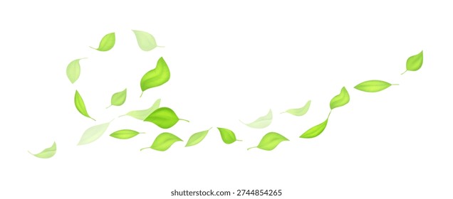 Fresh green leaves flying in soft swirl motion. Natural eco vector composition isolated on light background. Perfect for organic branding, tea packaging and spring design