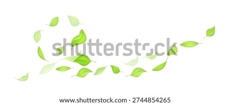 Fresh green leaves flying in soft swirl motion. Natural eco vector composition isolated on light background. Perfect for organic branding, tea packaging and spring design