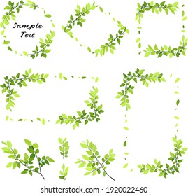 fresh green leaves' frame collection