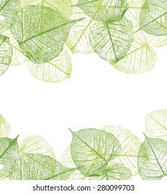 Fresh green leaves frame, vector illustration