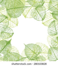 Fresh green leaves frame- vector illustration