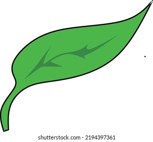 Frische grüne Blätter, hochauflösende Vektorgrafik für Ihr Logo oder Ihre Design-Ergänzung