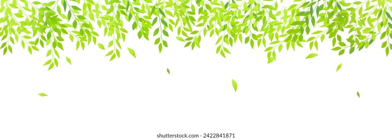 fresh green leaves hot weather background