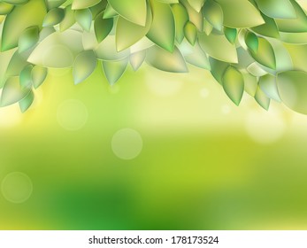 Fresh green leaves. And also includes EPS 10 vector