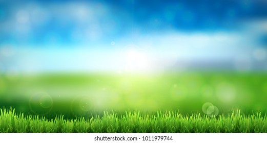 Fresh green leaves Landscape background
