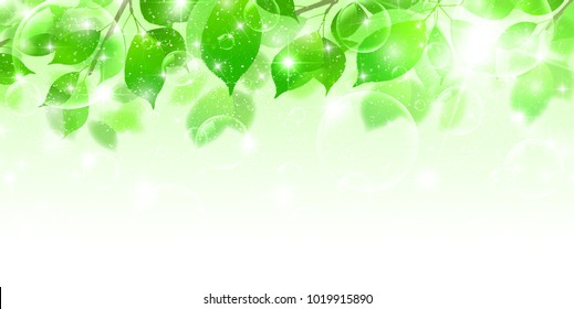 Fresh green leaves landscape background