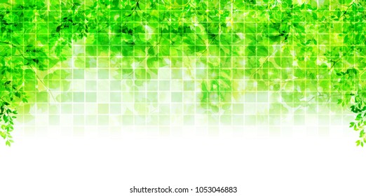Fresh green leaves landscape background