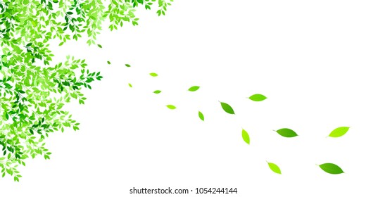 Fresh green leaves landscape background