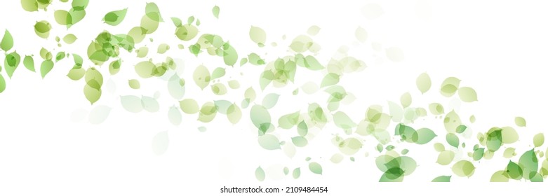 Fresh green leaves landscape background 