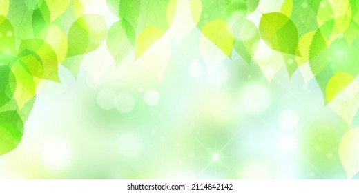 Fresh green leaves landscape background 