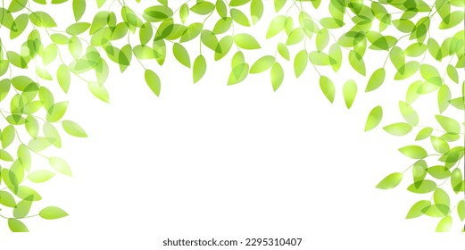 fresh green leaves landscape background