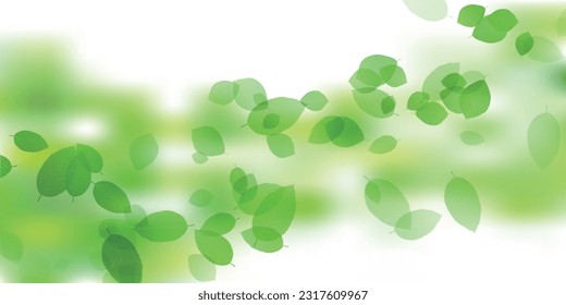 fresh green leaves landscape background