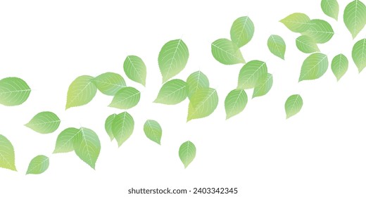 fresh green leaves landscape background
