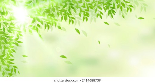 fresh green leaves landscape background