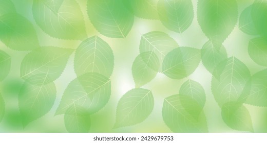 fresh green leaves landscape background