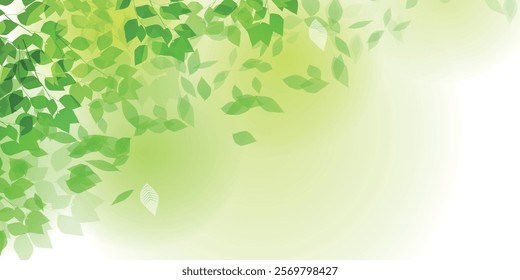 fresh green leaves landscape background