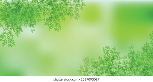 fresh green leaves landscape background