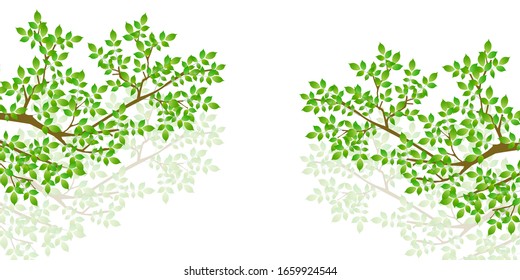 Fresh green leaves light background