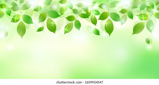 Fresh green leaves light background