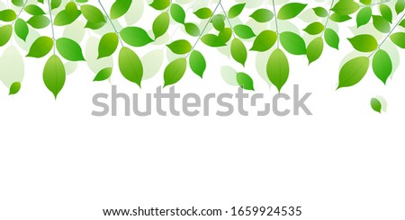 Fresh green leaves light background