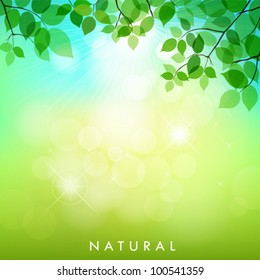 Fresh green leaves on natural background. vector illustration