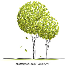 Fresh green leaves on two round trees
