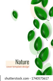 Fresh green leaves on white. Creative abstract background for your design. Vector illustration