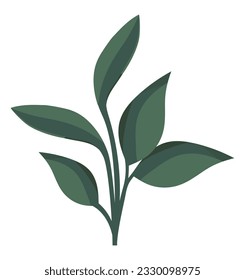Fresh green leaves over white