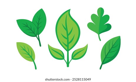 Fresh green leaves positioned, emphasizing their freshness and organic form flat vector illustration set on white background