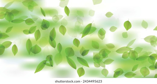 fresh green leaves sky background