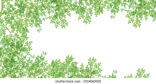 Fresh green leaves spring background