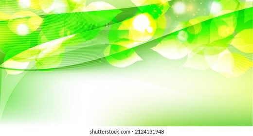 Fondo de primavera de hojas verdes frescas 