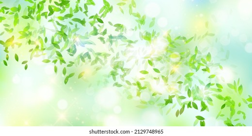 Fresh green leaves spring background