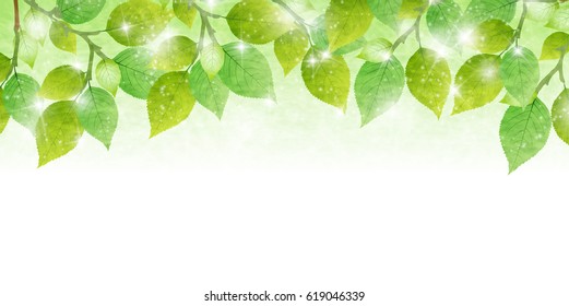 Fresh green leaves Spring background
