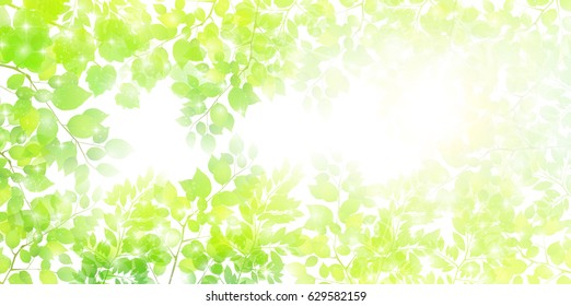 新緑 木 のイラスト素材 画像 ベクター画像 Shutterstock