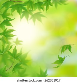 Fresh green leaves in spring, vector illustration