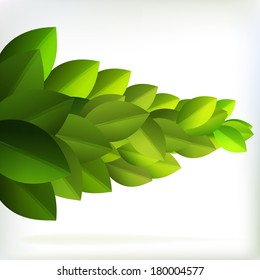 Fresh green leaves for summer design. + EPS10 vector file