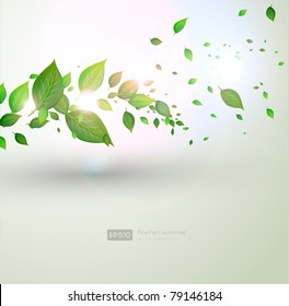 fresh green leaves and sun shine for summer design