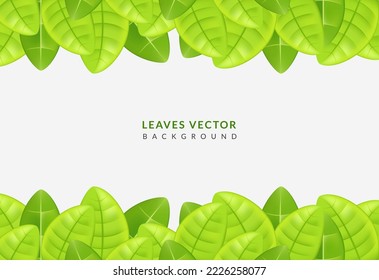Fresh green leaves with top and bottom decoration concept on the background. Perfect for invitation posters and greeting cards. isolated on white background