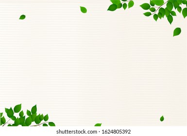 Fresh green leaves tree background
