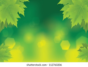 fresh and green leaves vector