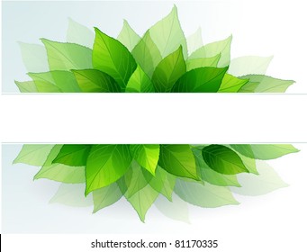 Fresh green leaves vector background.